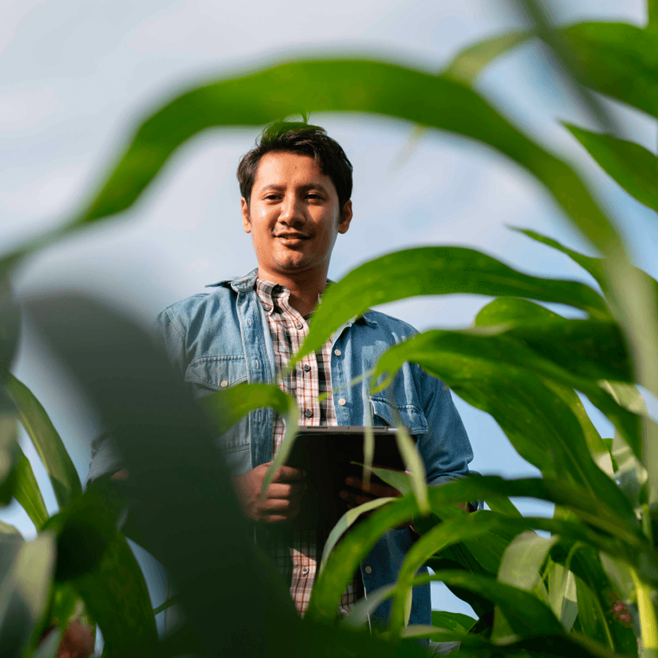 Powering the Green Revolution with Energyefficient AI Computing
