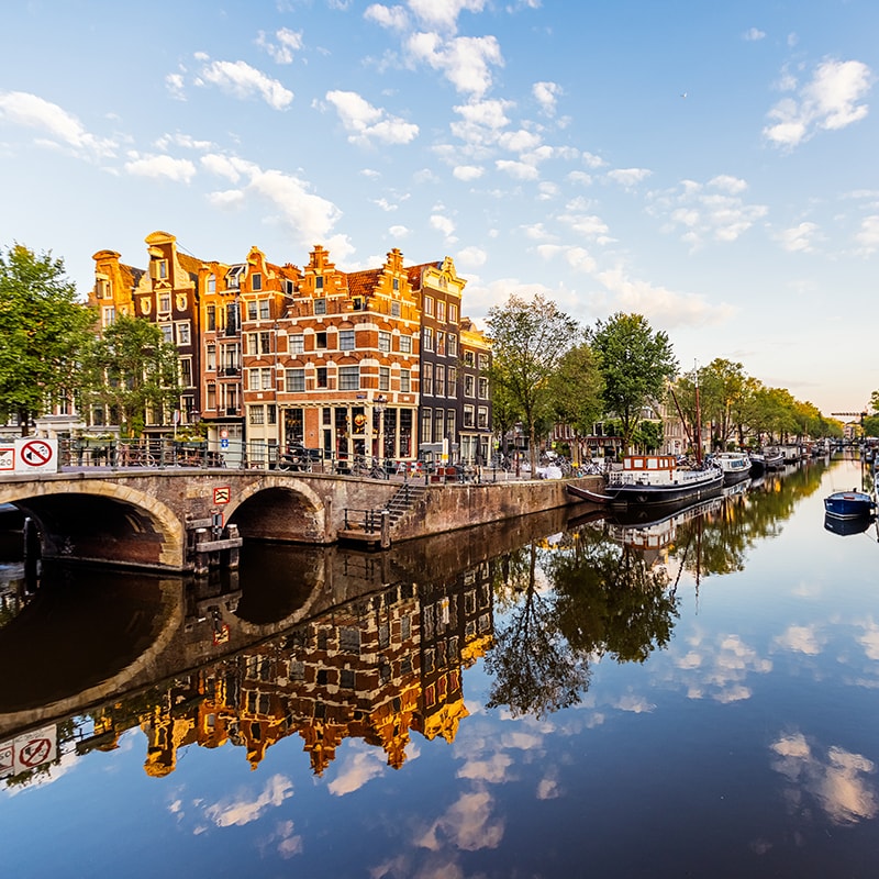 Atos empowers urban and smart biodiversity planning for European Government Entity