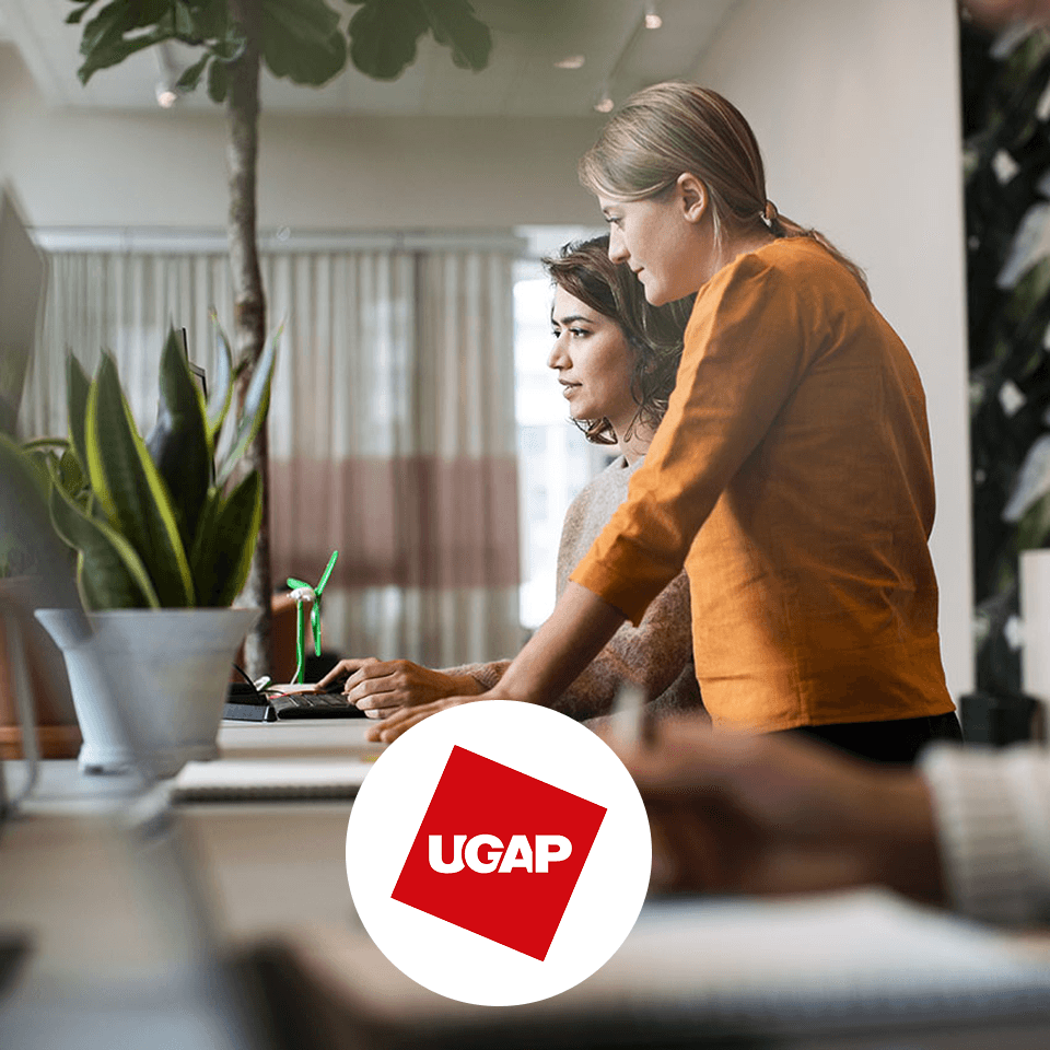 Accompagner la transformation digitale des services publics