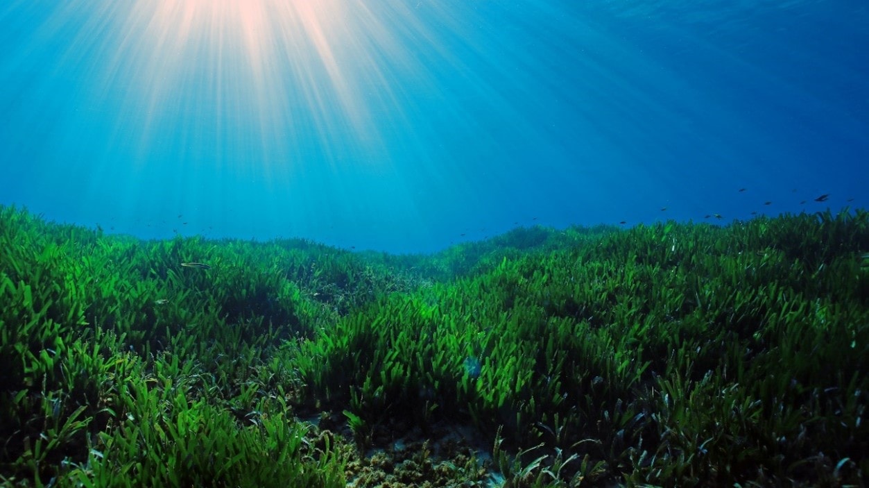 atosnewsroom-ecoact