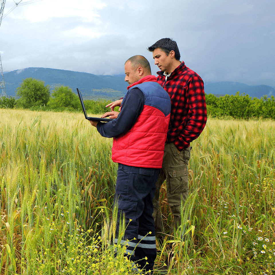 Two men analyzing crops data.