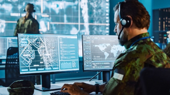 public sector defense