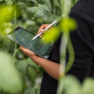 A women operating her tablet