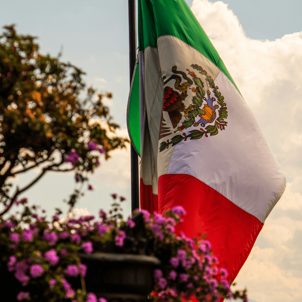 mexico flag