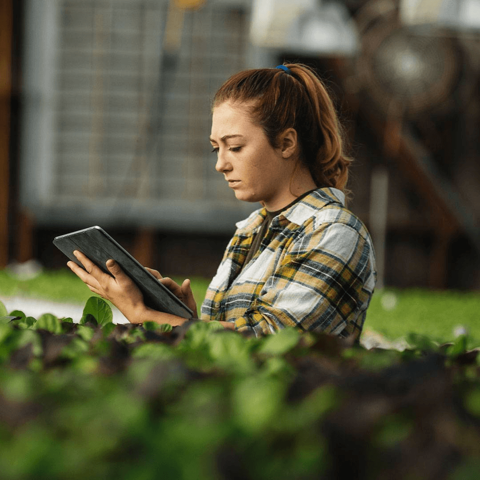 woman using her phone outdoors