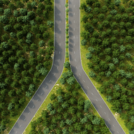 road in a forest