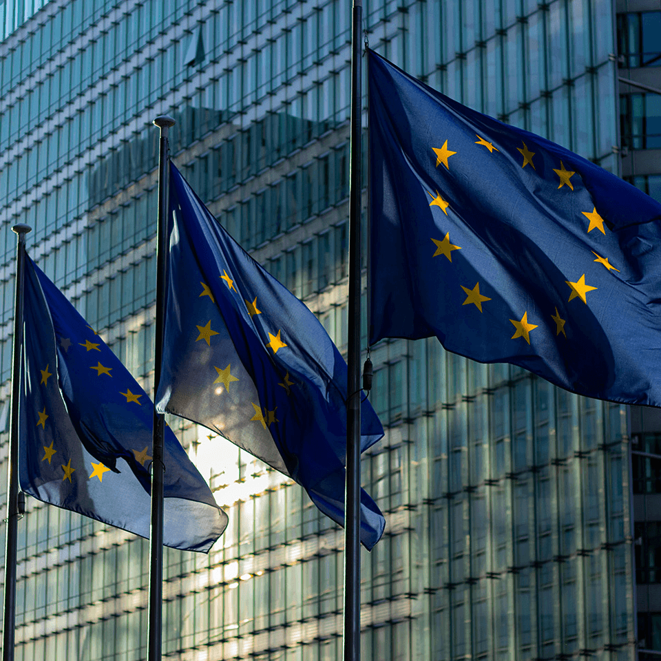 European flag