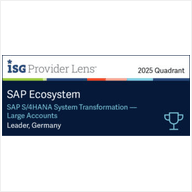 SAP-S4HANA-System-Transformation Large-Accounts