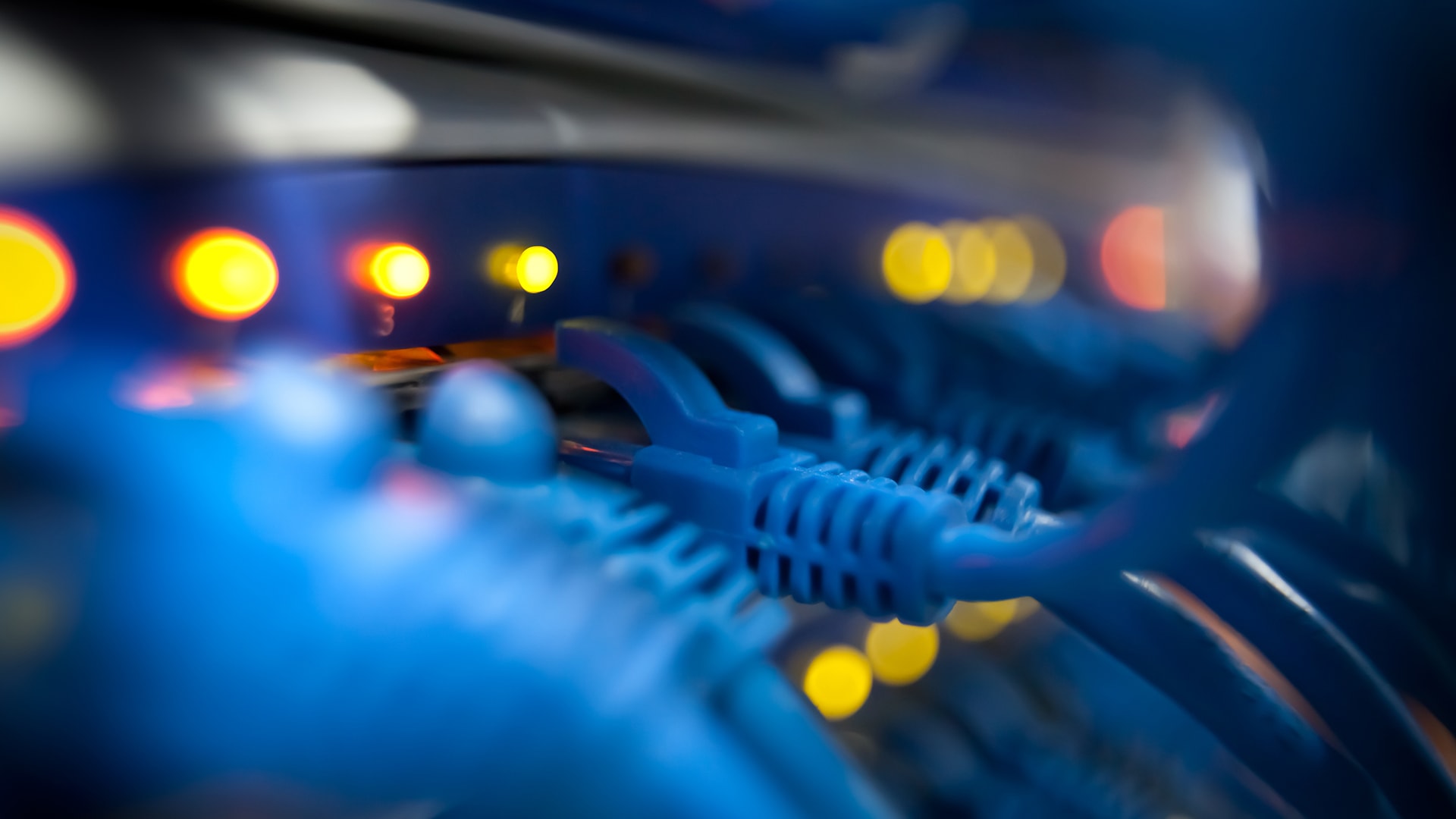 Closeup of a server network panel with lights and cables