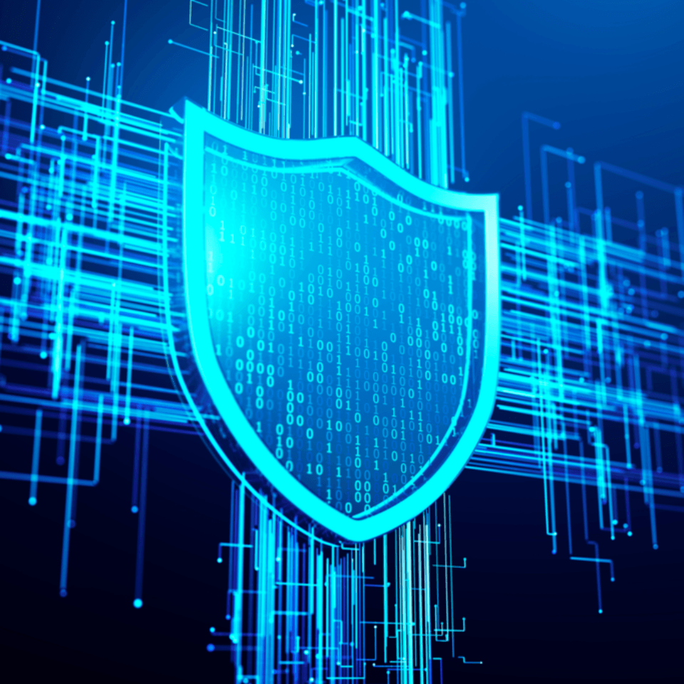 Security binary shield